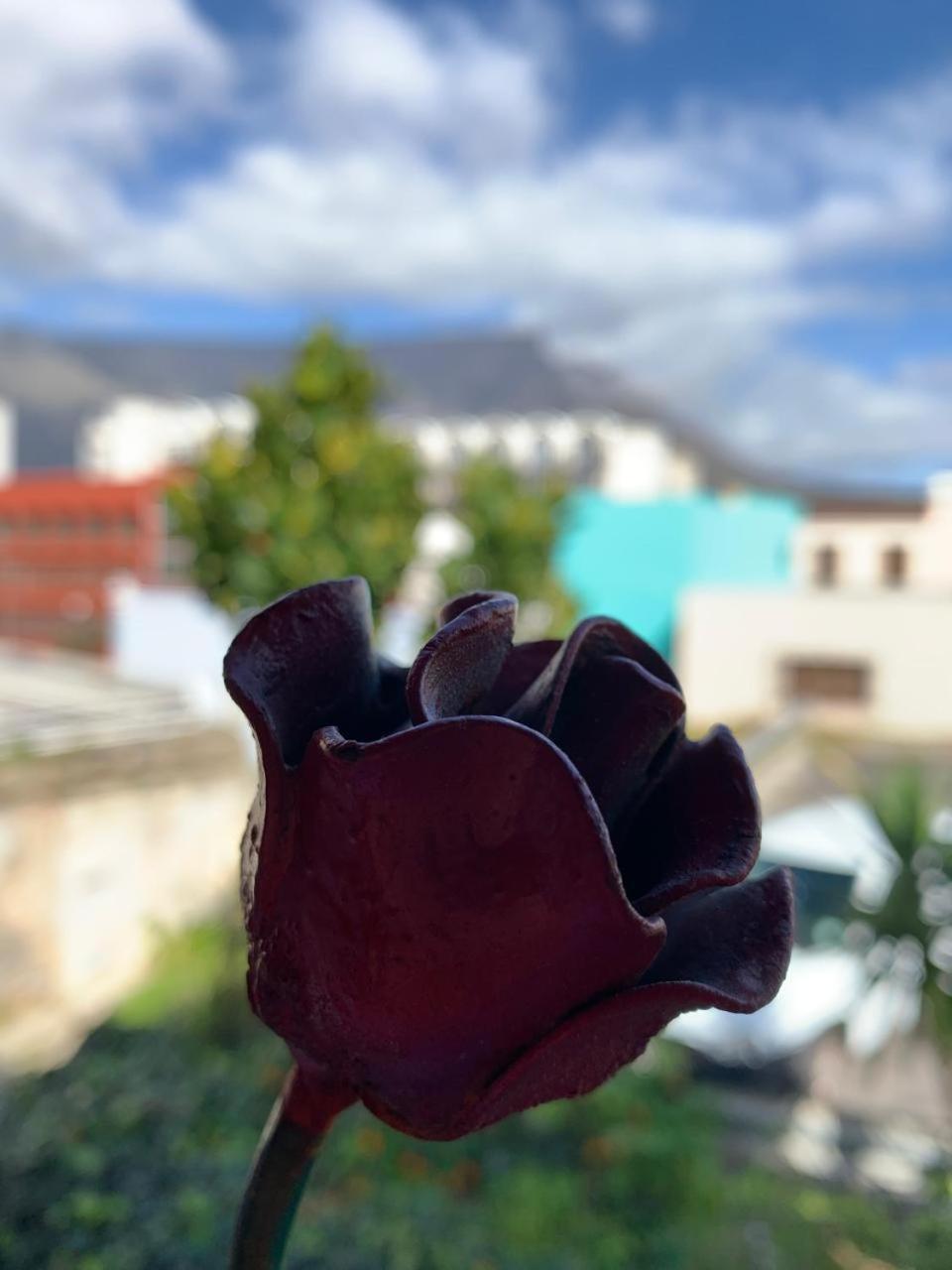 La Rose B&B Cidade Do Cabo Exterior foto